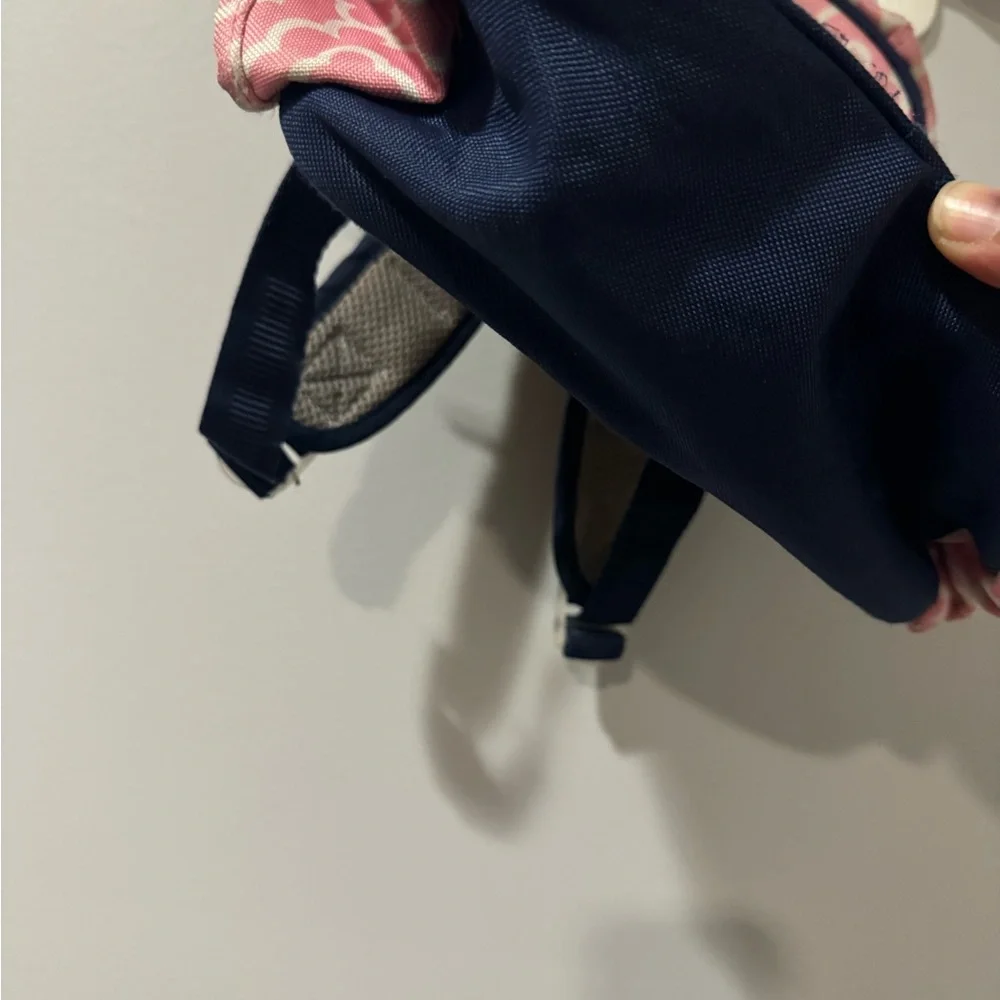 Pottery Barn Kids‎ Blue And Pink Backpack Preschool G